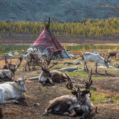 Northern Mongolia