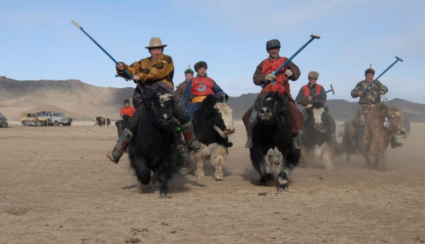 Mongolian Yak Festival