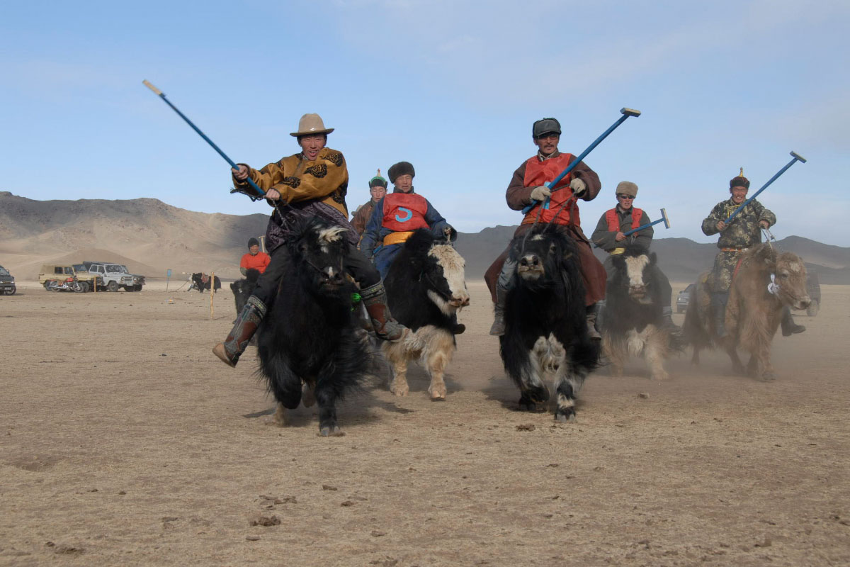 Mongolian Yak Festival